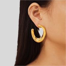 Load image into Gallery viewer, Cristine Earrings